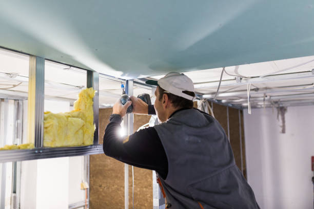Best Local Insulation Services  in Mead, CO